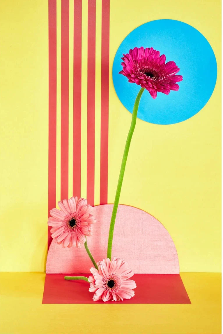 Desiree Pfeiffer Print / Pink Sunflowers