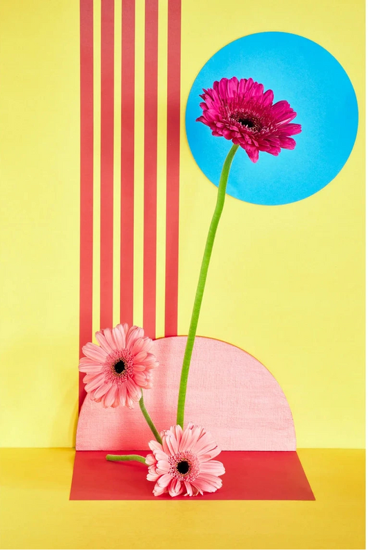 Desiree Pfeiffer Print / Pink Sunflowers