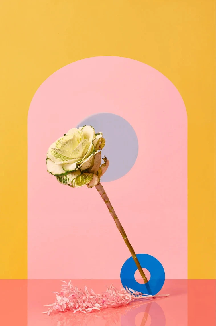 Desiree Pfeiffer Print /Kale Flower