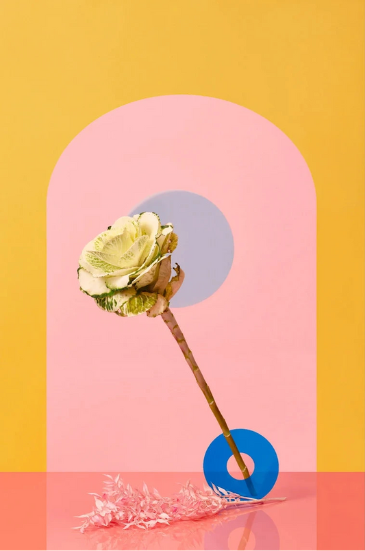 Desiree Pfeiffer Print /Kale Flower