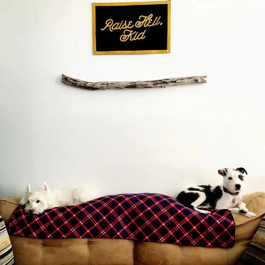 Raise Hell Camp Flag by Oxford Pennant