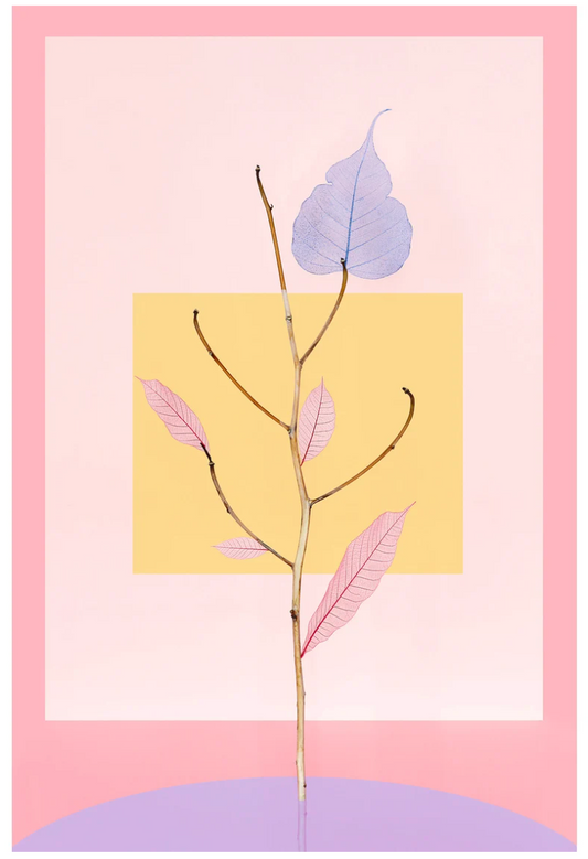 Desiree Pfeiffer Print / Skeleton Leaves