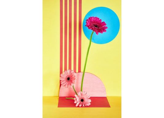 Desiree Pfeiffer Print / Pink Sunflowers
