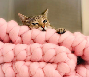 SOLD OUT: Knitting Workshop: Learn to Knit a Chunky Baby Blanket or Pet Bed in 1 Hour!